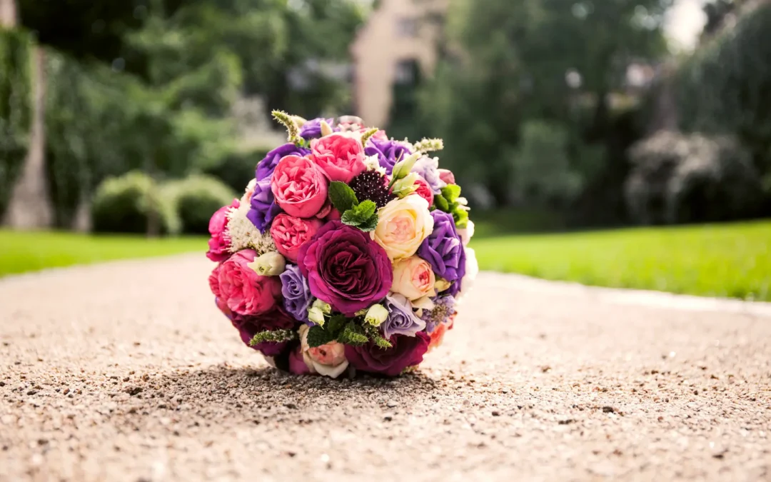 Ein Sommer voller Emotionen