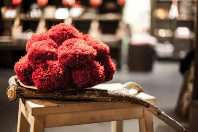 schwarzundwald schwarzundwald