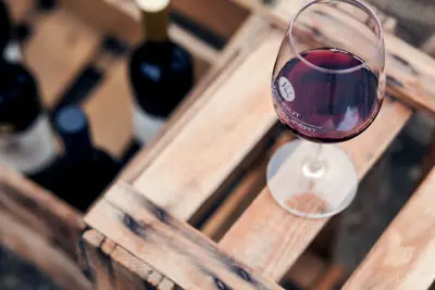 Weingut Kiefer-Seufert Weingut Kiefer-Seufert