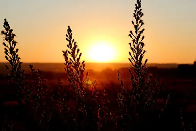Zisterzienserroute – Katalonien Zisterzienserroute – Katalonien